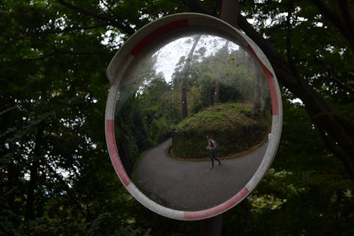 도시 공원, 조지아, 짙은 녹색의 무료 스톡 사진
