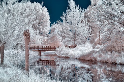 Free stock photo of bridge, false colors, infrared Stock Photo