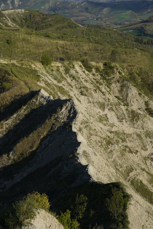 Imagine de stoc gratuită din deal, fotografiere verticală, natură