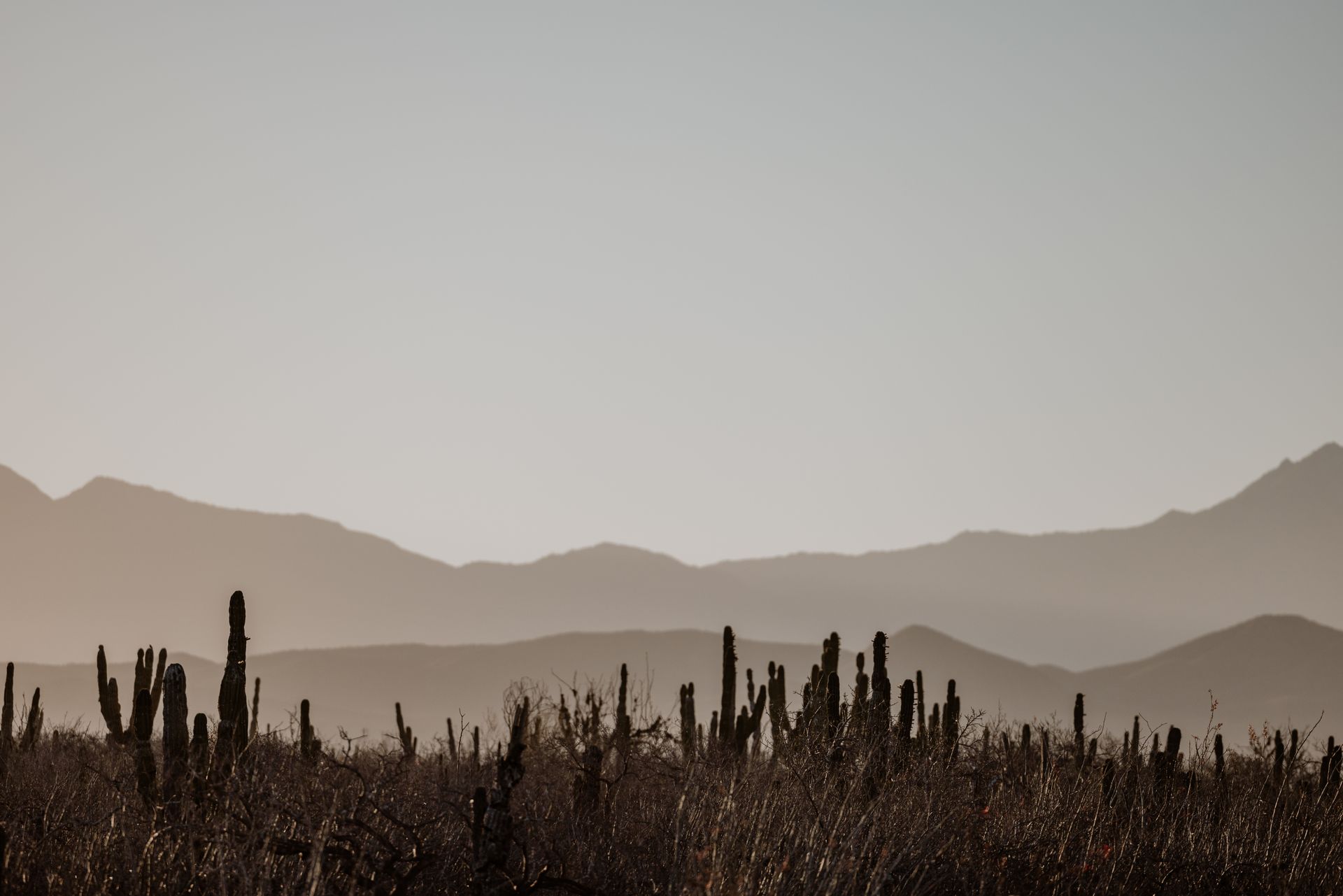 The golden hour illuminates the raw beauty of the rugged Southwest
