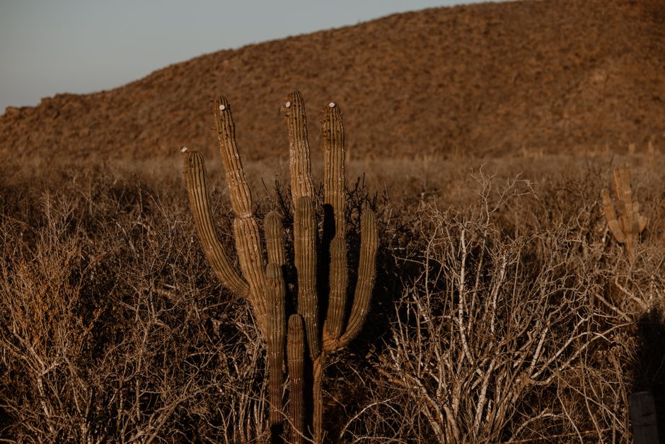 Senate Panel Examines Tribal Water Rights Settlement Funding