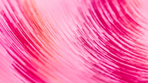 Foto profissional grátis de close-up extremo, cor-de-rosa, estrutura