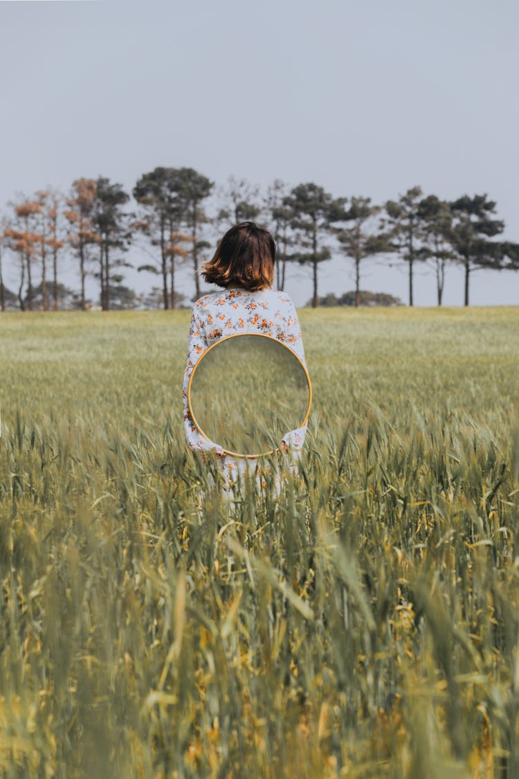 Meadow Reflecting In Mirror