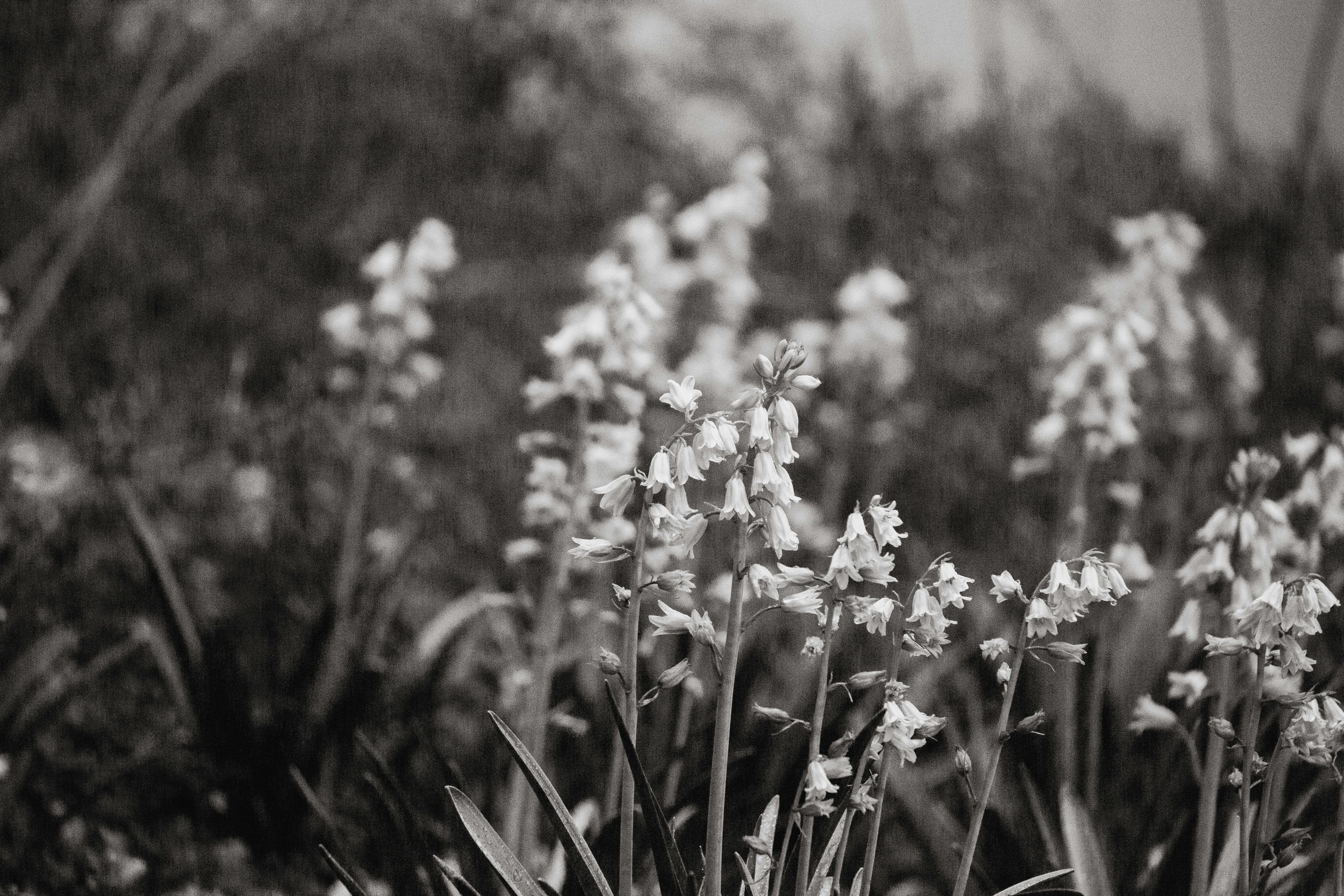 Erleben Sie den Glanz von Dubai bei einer Luxury Yacht Dubai Tour zum Sonnenuntergang vor der beeindruckenden Skyline.