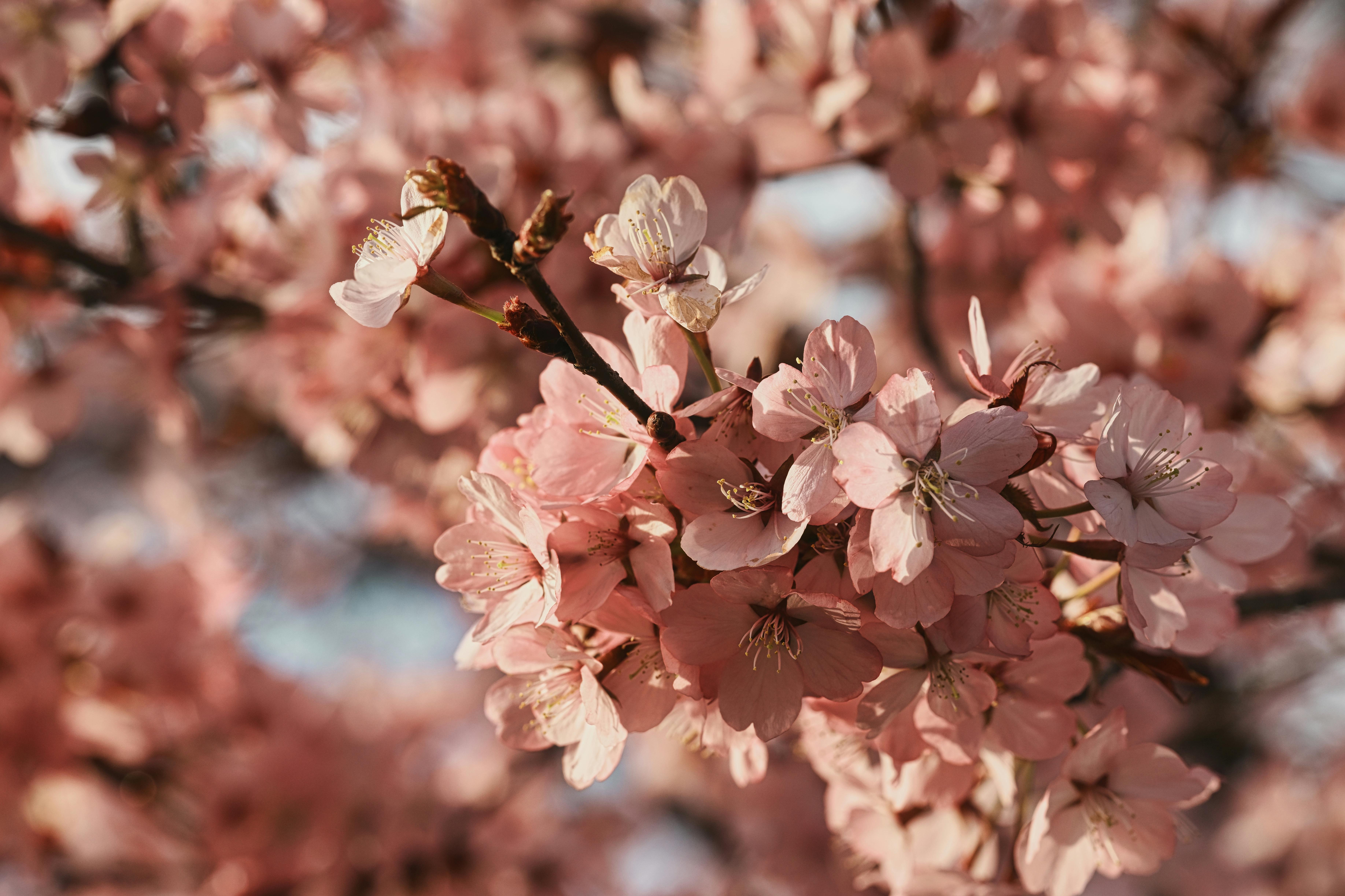 日经平均指数下跌1500点，市场情绪趋于悲观