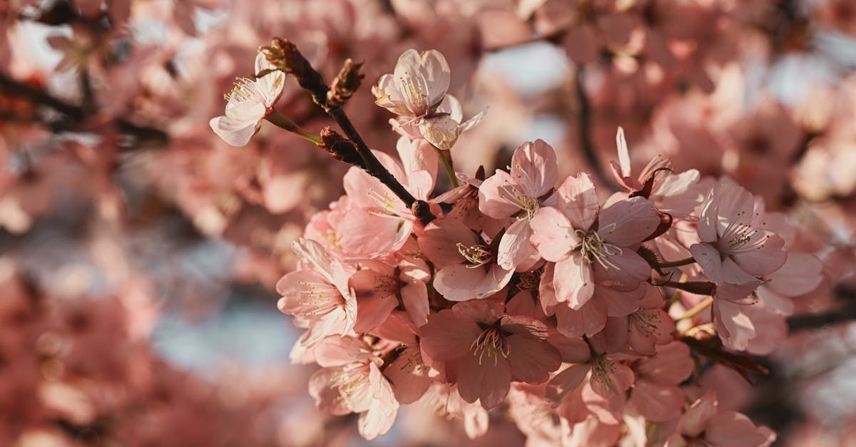 日經平均指數下跌1500點,市場情緒趨於悲觀 日经平均指数下跌1500点,市场情绪趋于悲观