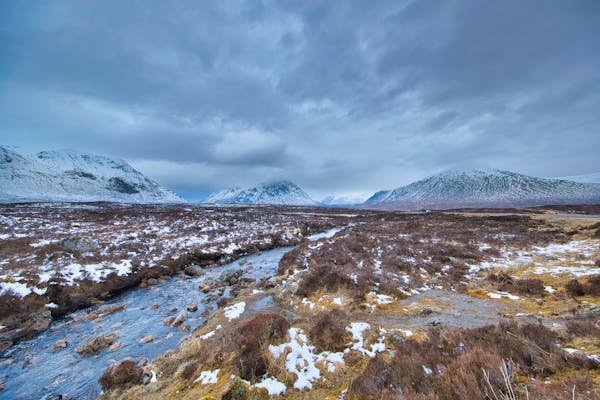Largemouth Bass fish in Utah Lake
