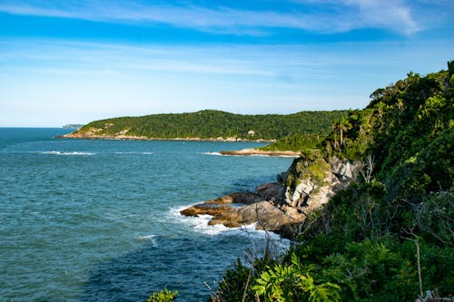 Scenic View of a Sea Coast 