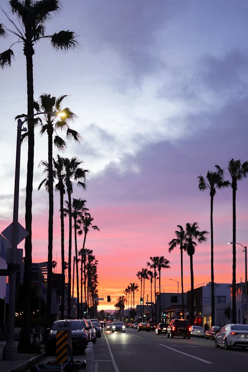 Street in Los Angeles at Sunset