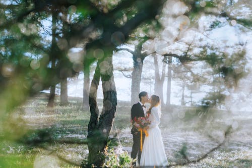 Photo of Bird And Groom Kissing Near Tree