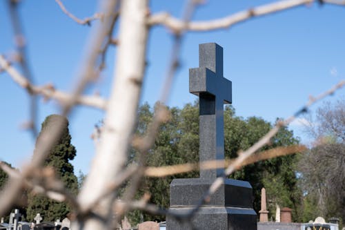 Fotobanka s bezplatnými fotkami na tému cintorín, jasná obloha, kríž