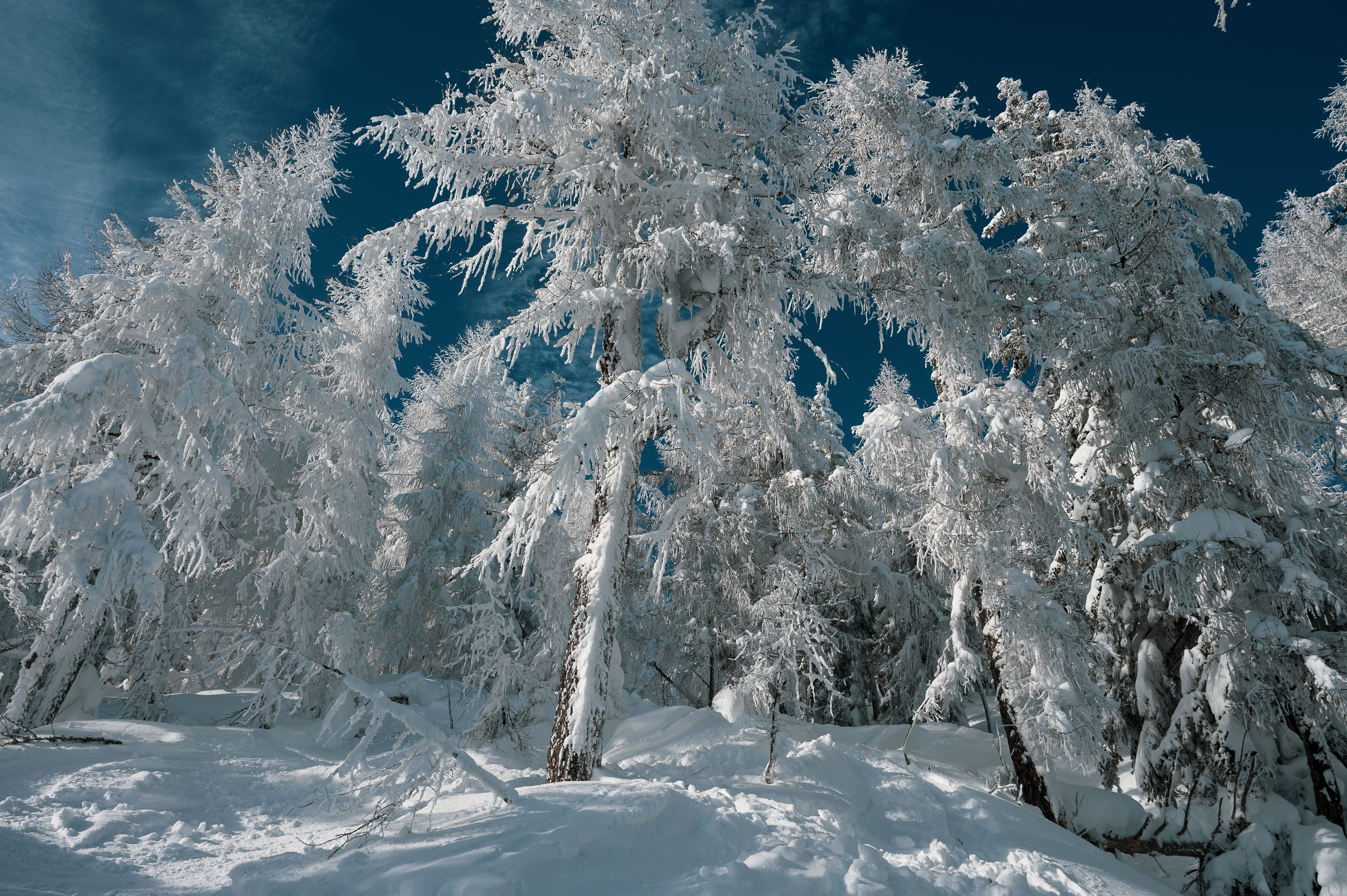 A skier performs a thrilling jump off a snowy mountainside, showcasing extreme winter sports.
