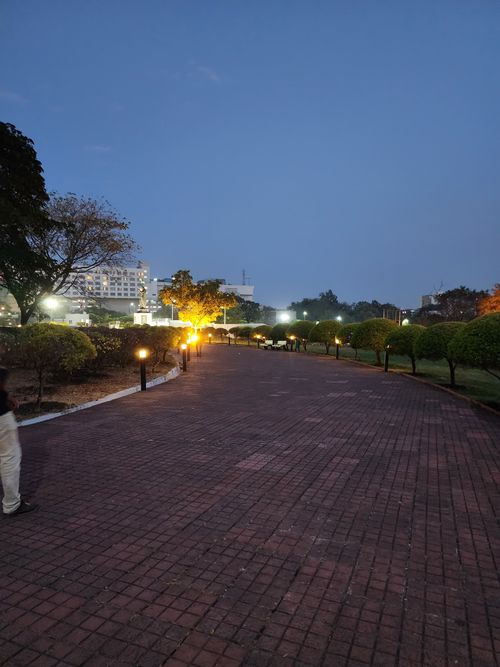 Free stock photo of parks Stock Photo