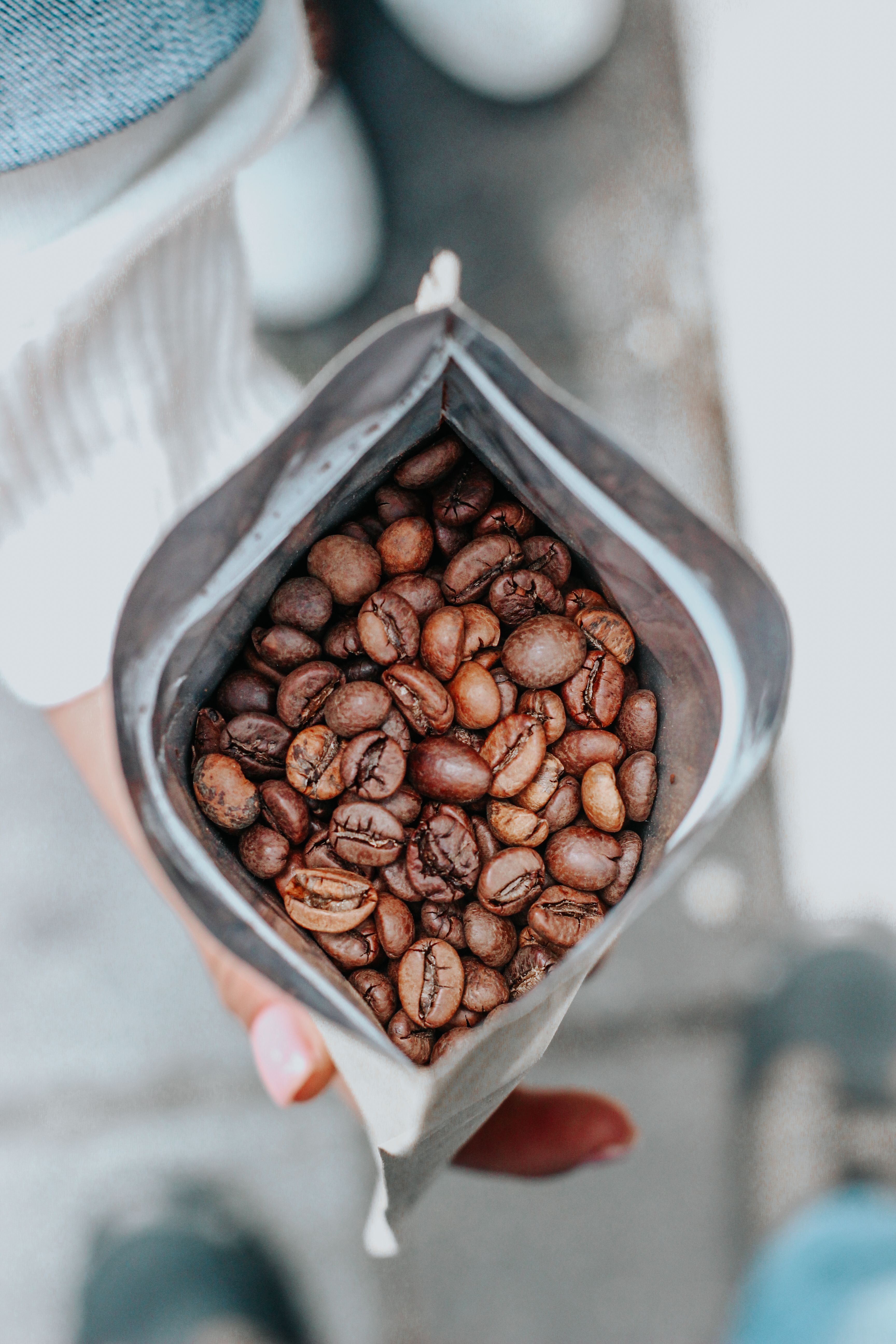 Bag of fresh coffee beans held as a Thanksgiving hostess gift
