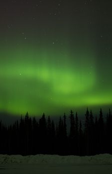 Stunning view of aurora borealis lighting up the night sky over an Alaskan forest.
