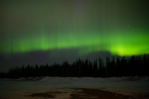 Immagine gratuita di alberi, aurora, cielo