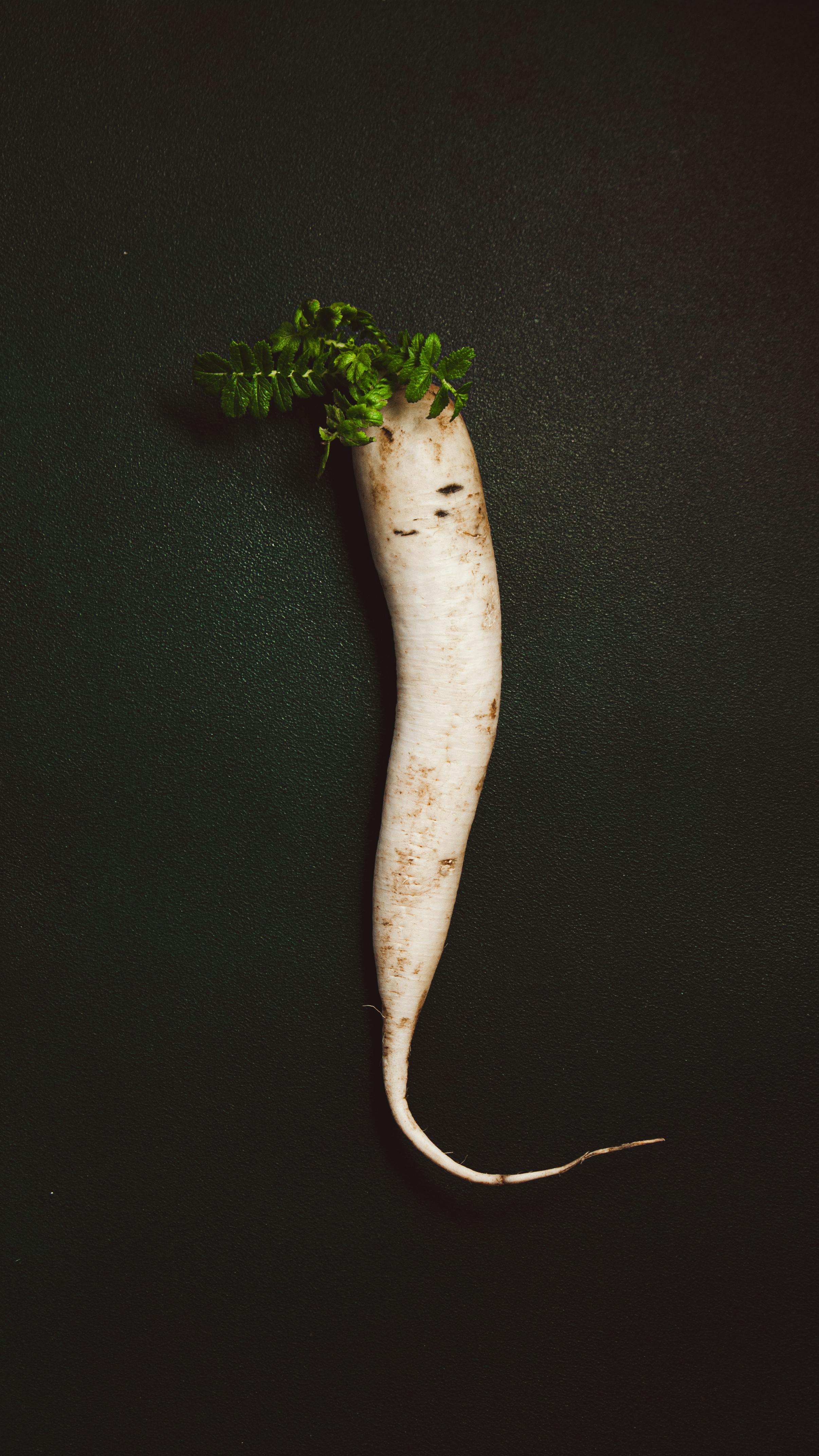 Radish and knife stock photo. Image of organic, space - 102304970