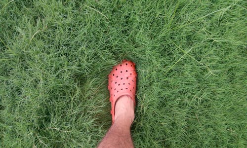 Person, Die Orange Clog Schuh Auf Grasfeld Trägt