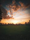 在郁郁葱葱的绿地上，捕捉云层与树木轮廓映衬下的迷人日落