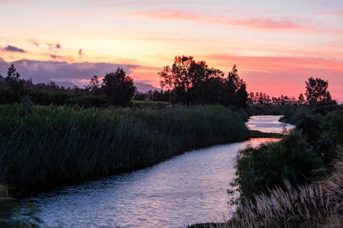 River Surrounded With Grass