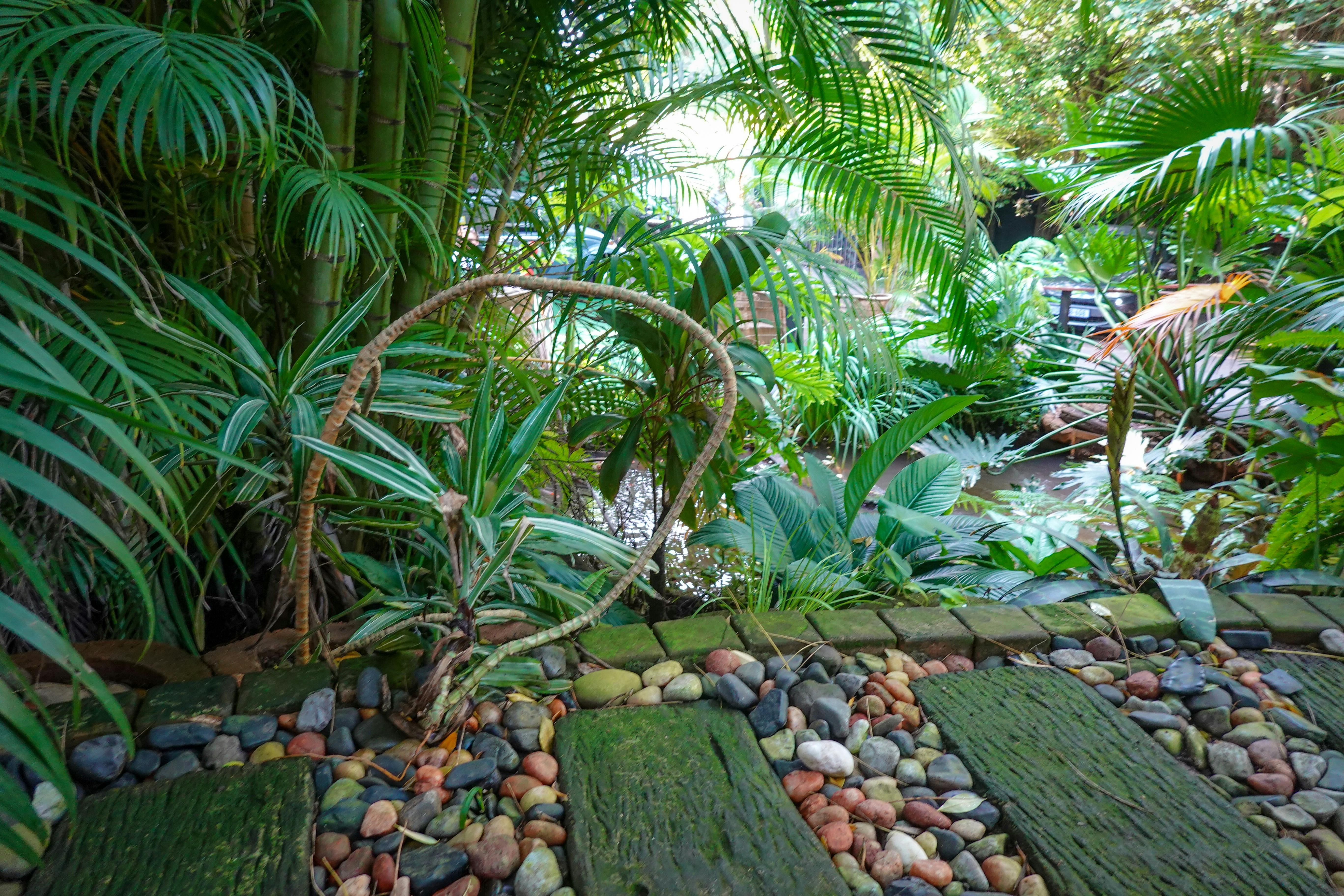 Chaos Gardening: A Laid-Back Way to Garden — Photo by Magda Ehlers on Pexels