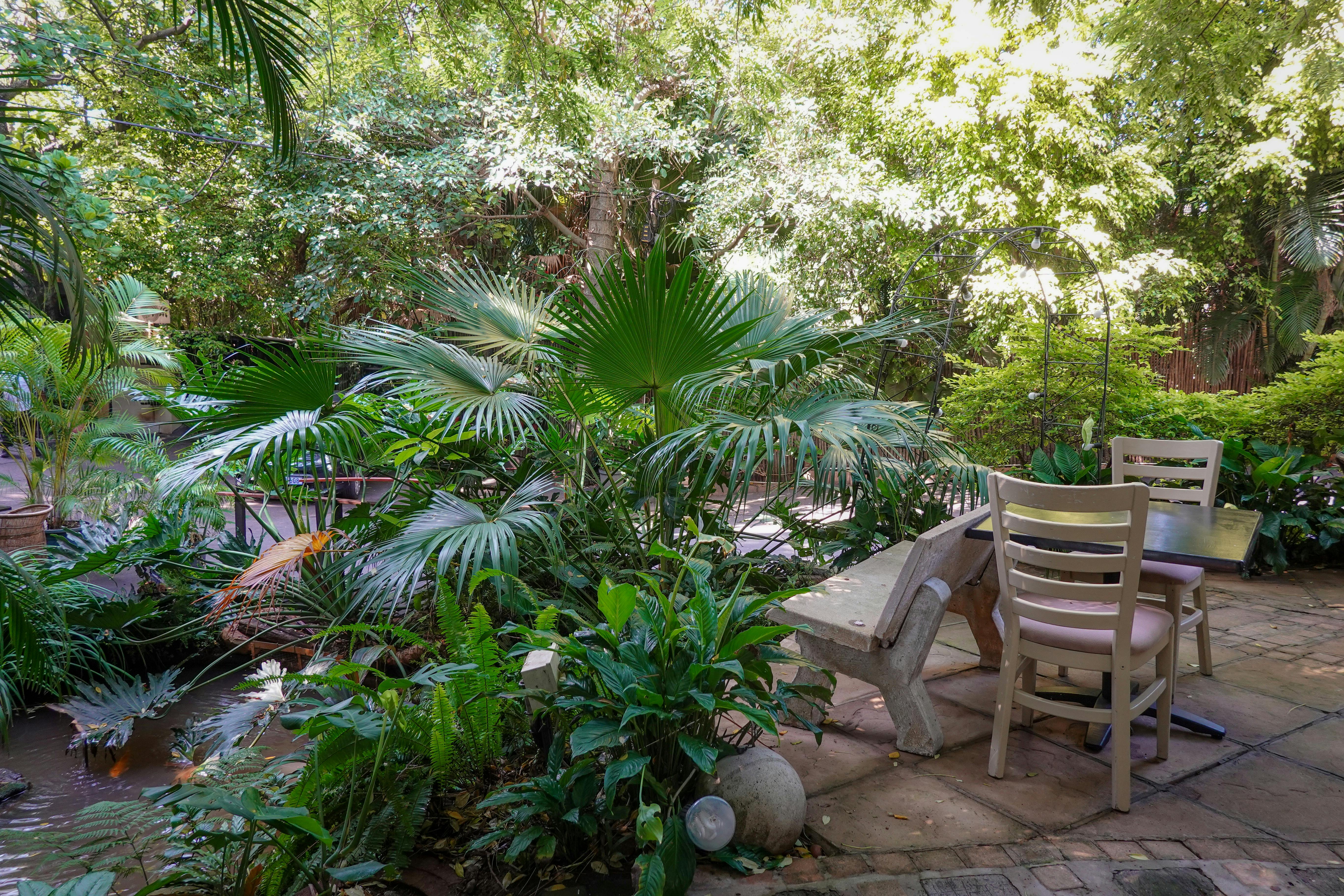 A tranquil garden scene with lush plants and seating area, perfect for relaxation.