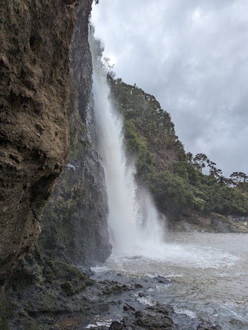 Бесплатное стоковое фото с вертикальный выстрел, водопад, лес