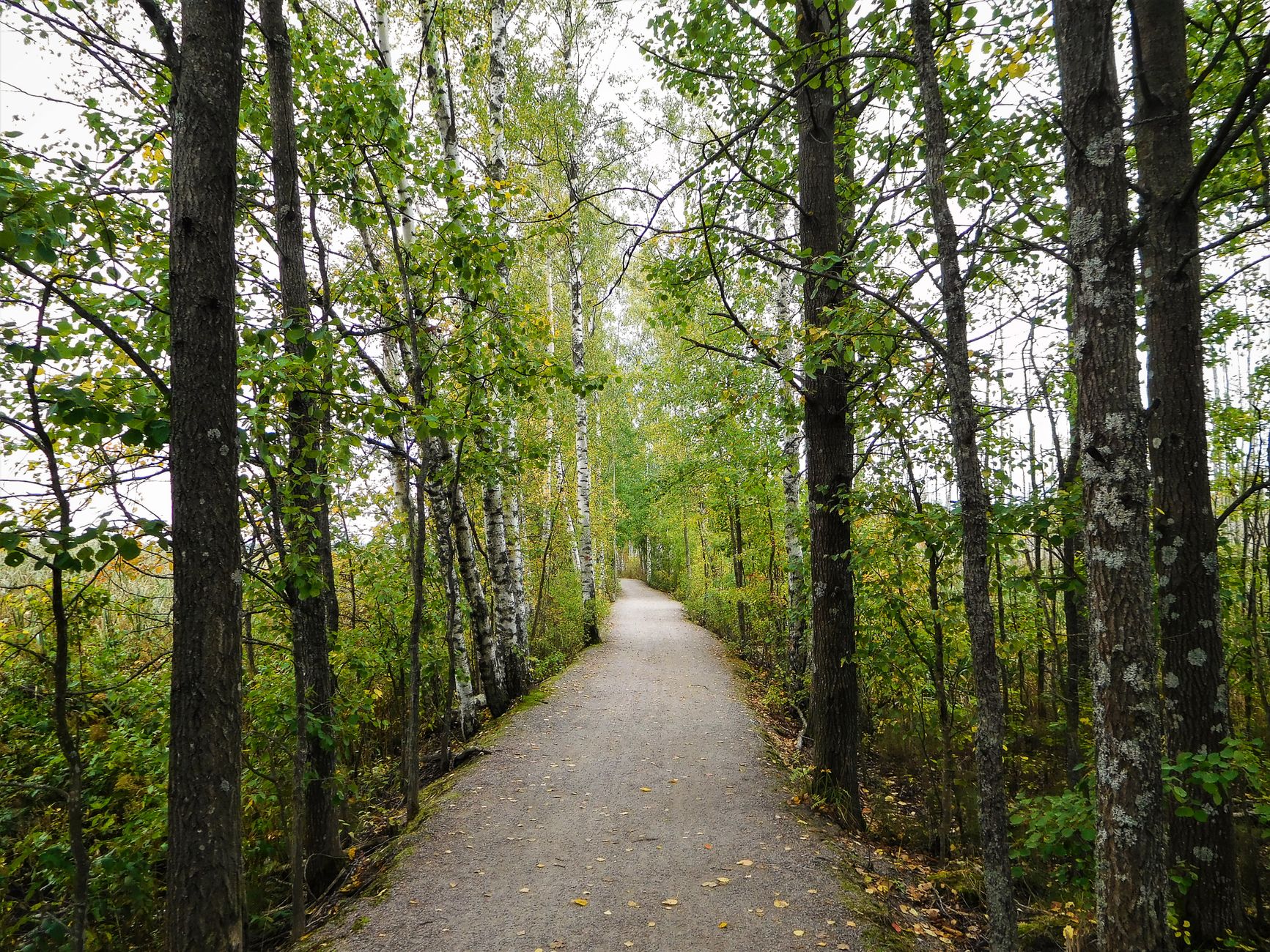 The Long Trail: hiking America’s oldest long-distance footpath