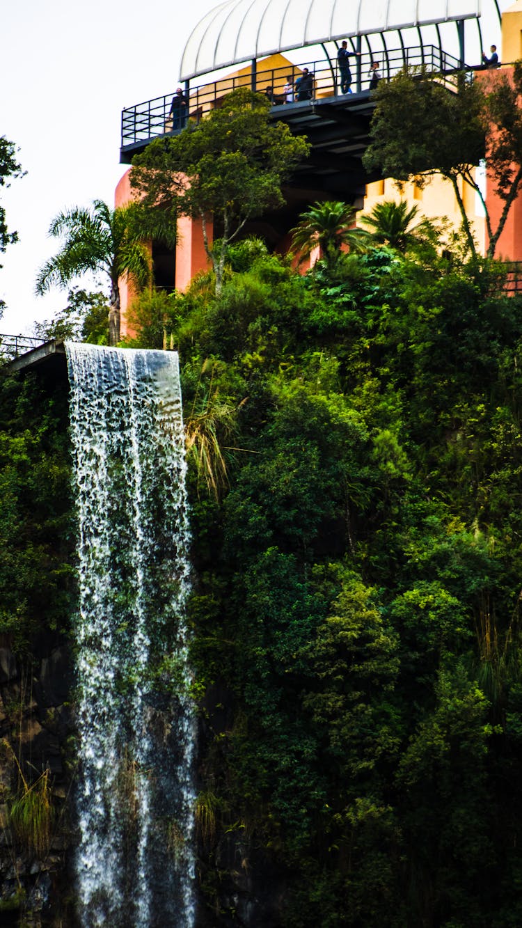 A Terrace Overlooking A Waterfall And Tropical Plants 