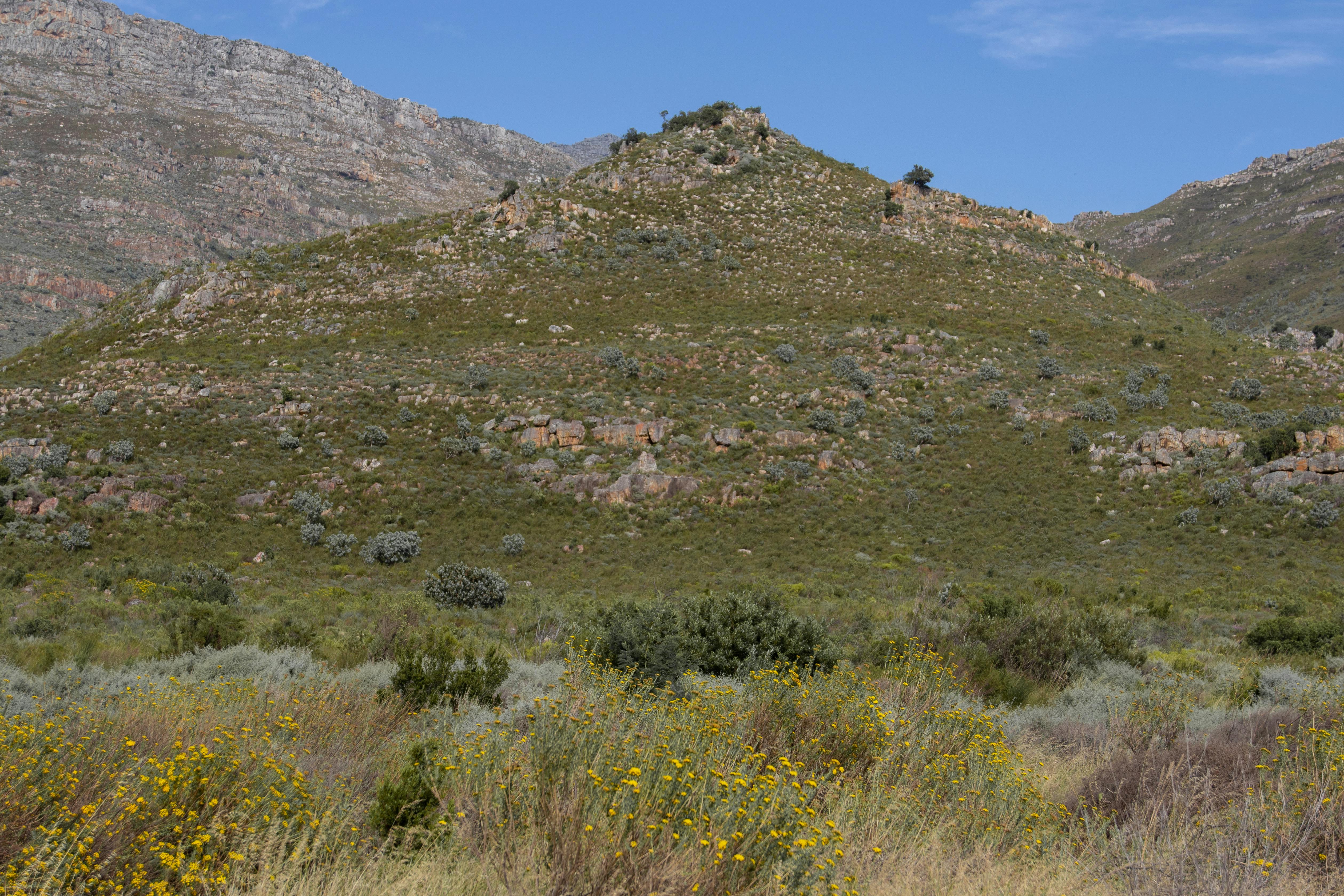 The Zanskar Crossing