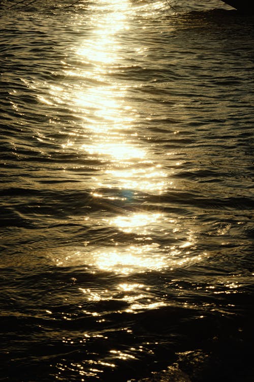 Бесплатное стоковое фото с вертикальный выстрел, волна, море