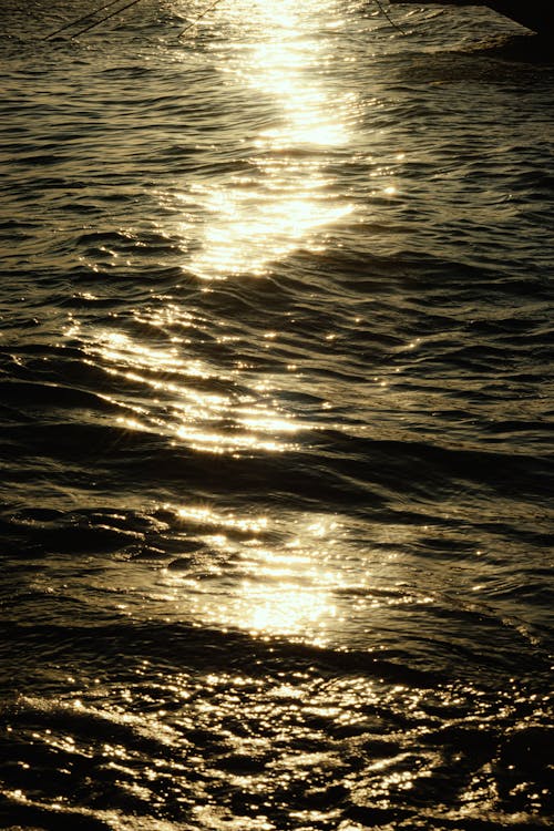 Rays of the Setting Sun Reflecting in the Sea