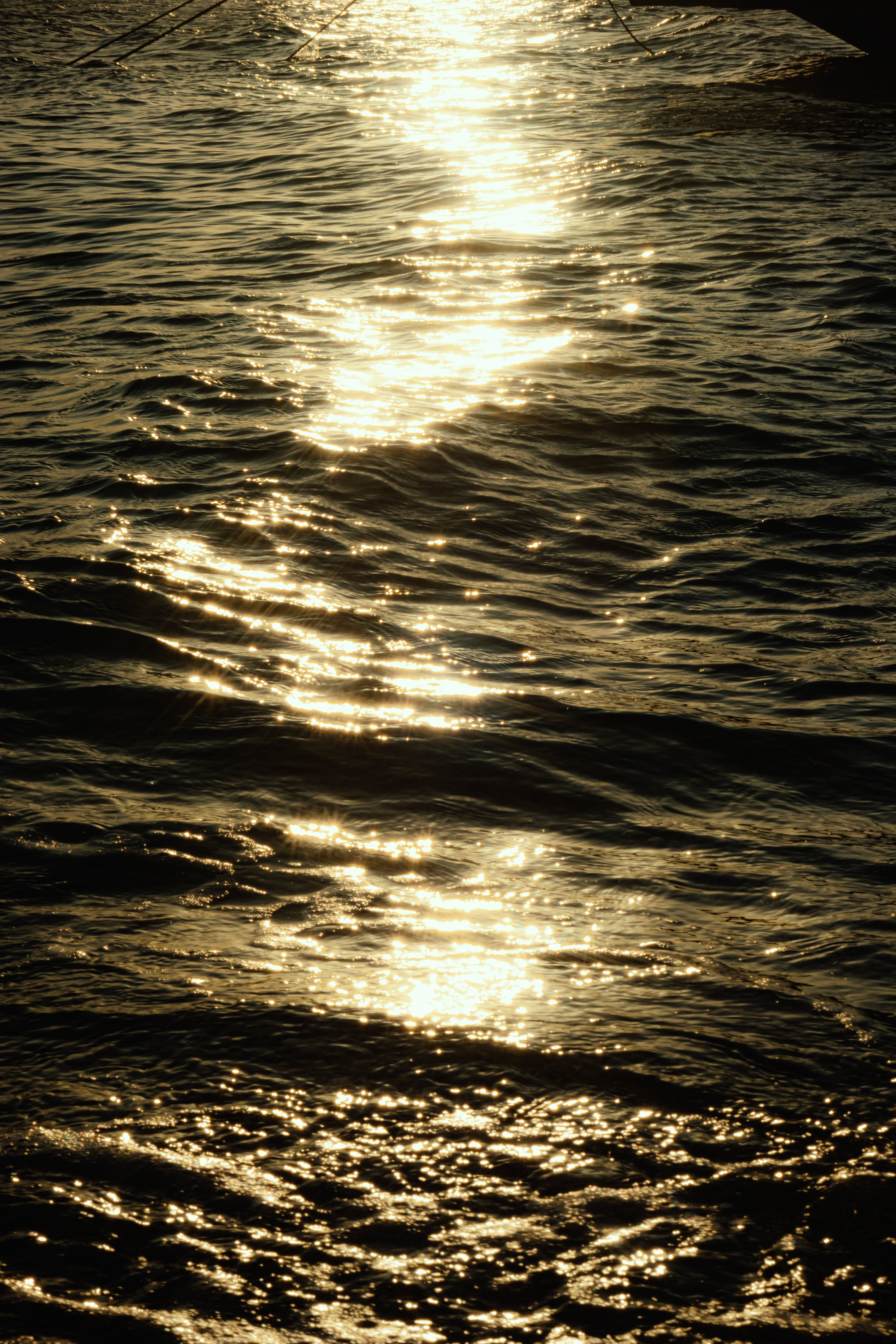 Rays of the Setting Sun Reflecting in the Sea · Free Stock Photo
