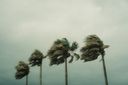 Tropical Storm Basyang Bears Down on Mindanao: A Test of Philippine Resilience and Governance