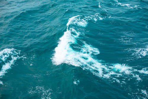 물, 바다, 블루의 무료 스톡 사진