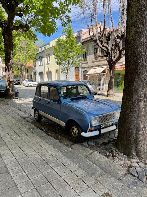 Δωρεάν στοκ φωτογραφιών με ακίνητος, άνοιξη, δέντρα