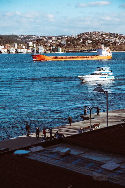 Základová fotografie zdarma na téma bosporus, kontejnerová loď, krocan