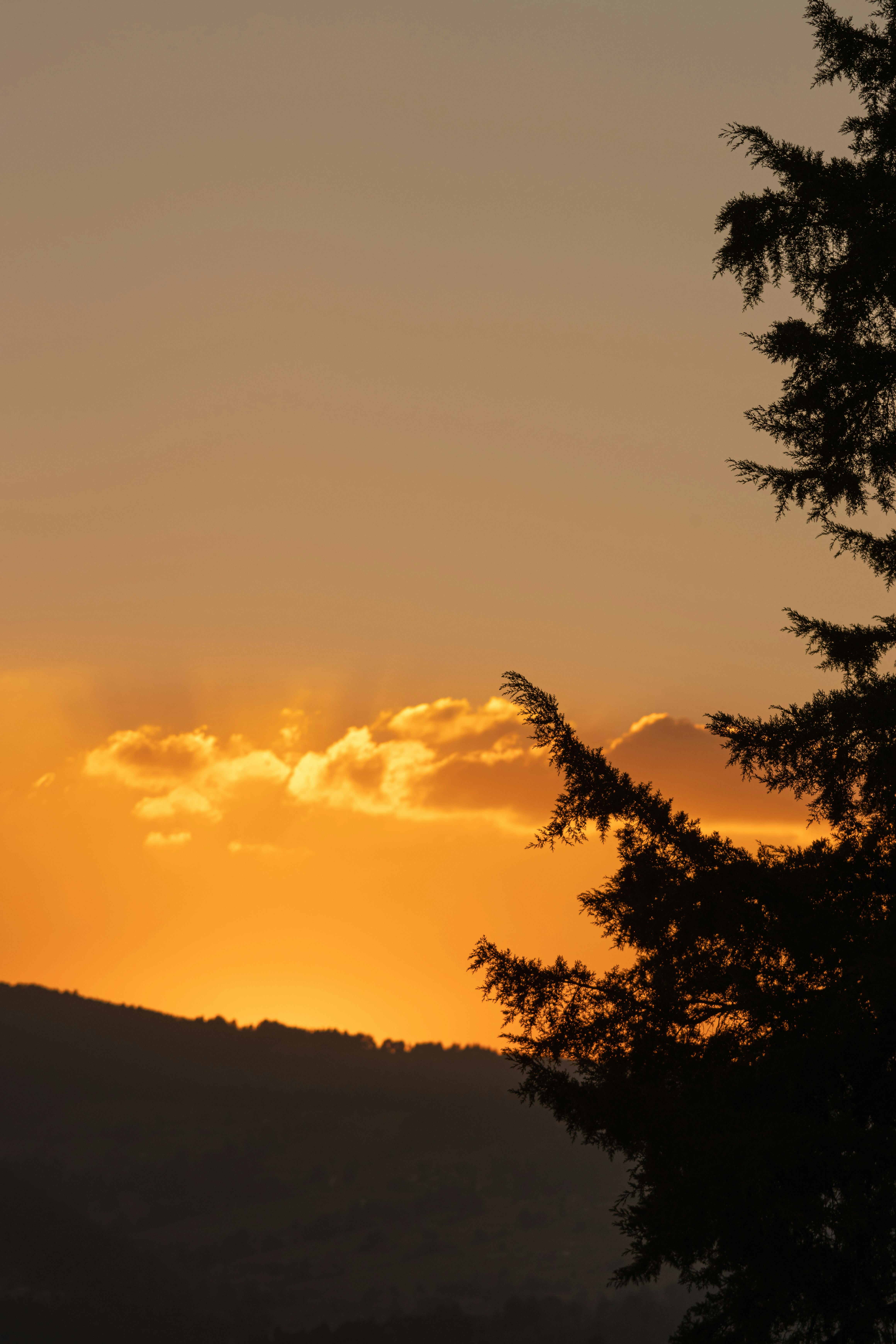 Salvoconducto: ¿Cómo Obtenerlo y Qué Beneficios Ofrece? 1 Todo lo que Necesitas Saber sobre el Salvoconducto: Guía Completa para Obtenerlo en 2023