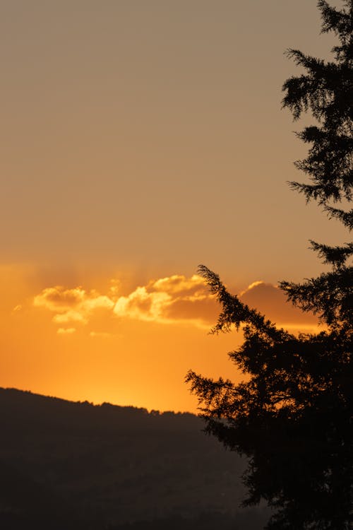 A sunset over the mountains with trees and clouds