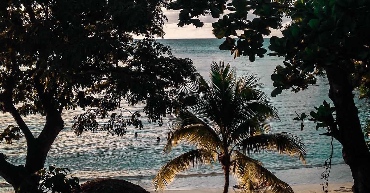 Kingston, in Jamaica: How entrepreneurs build credit history when collateral is limited Kingston, in Jamaica: How entrepreneurs build credit history when collateral is limited