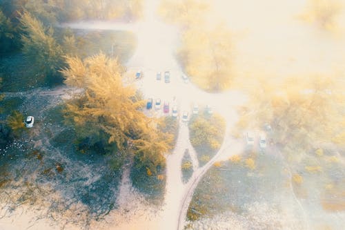 Bird's-eye View Photography of Parked Vehicles Near Trees