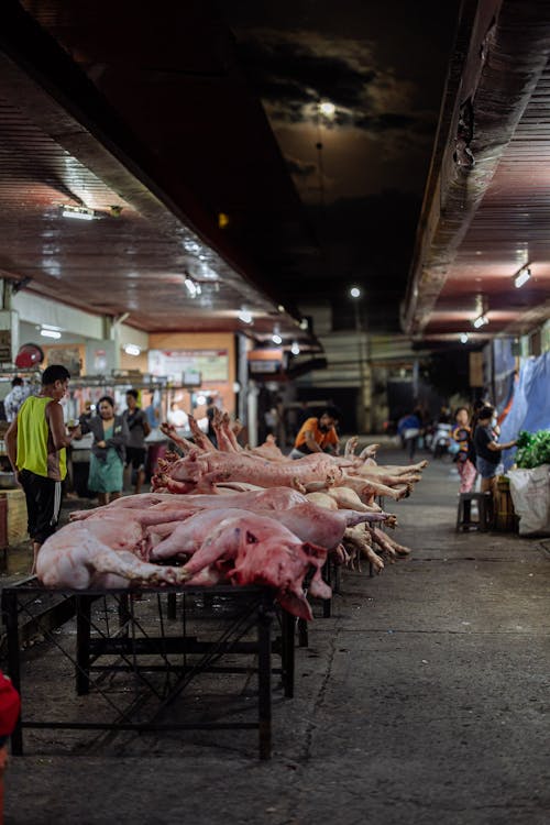 Stack of Pigs on Night Market