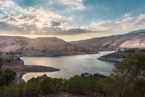 Foto d'estoc gratuïta de a l'aire lliure, aigua, arbres