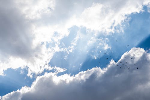 Free stock photo of blue skies, clouds, lights