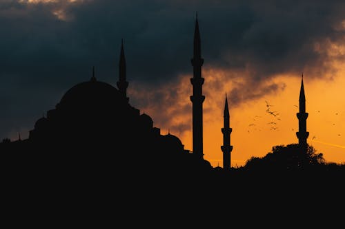 Foto stok gratis arsitektur islam, bayangan hitam, burung_flying