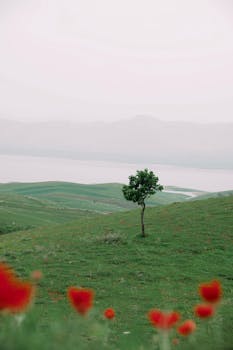 Serene landscape with lone tree, red flowers, and foggy mountains by a lake.