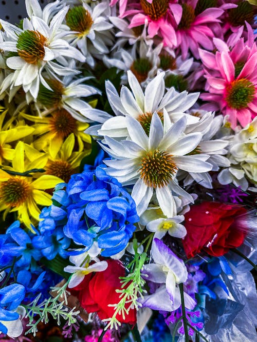 꽃, 꽃다발, 꽃이 피는의 무료 스톡 사진