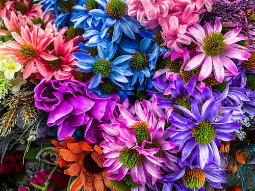 Close-up of Colorful Flowers in Bouquet