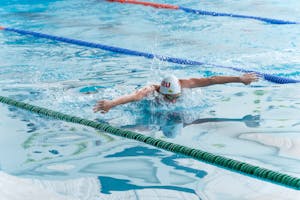 Free stock photo of butterfly, championship, nadador
