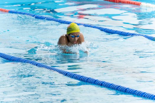 Free stock photo of breaststroke, championship, diving
